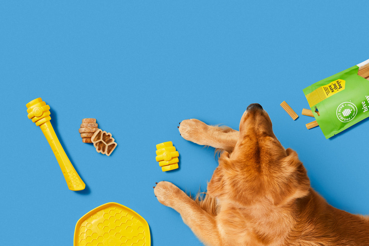 Dog Gift Baskets Sustainable Dog Treats & Dog Toys Project Hive Pet