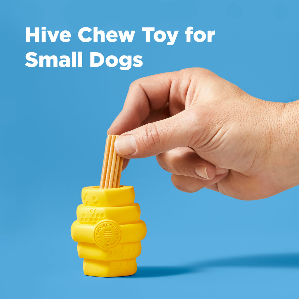 Interactive | Dog Treats stuffed in Dog Toy