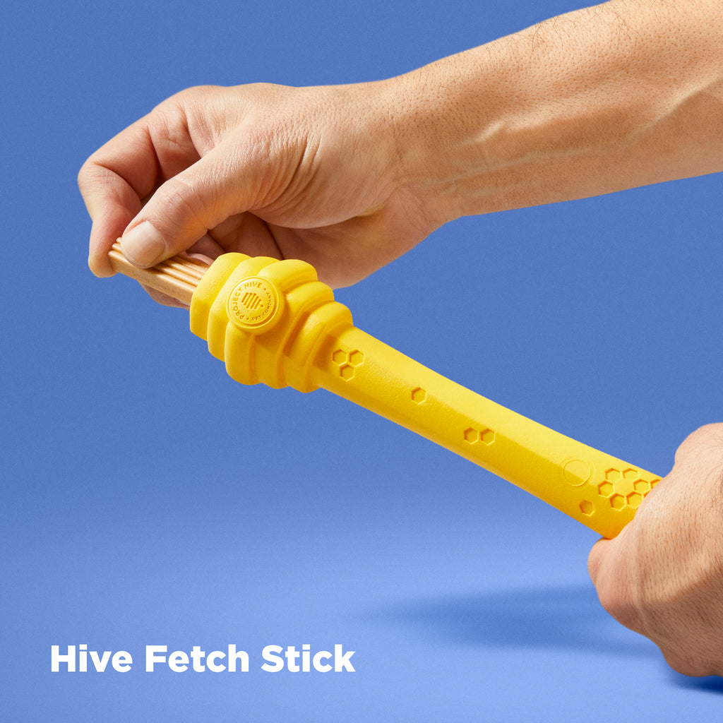 Interactive Dog Treat inside Dog Fetch stick