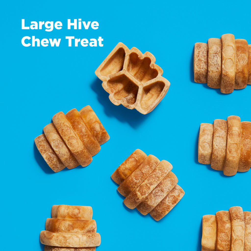 Dental Chew Treat for Large Dogs