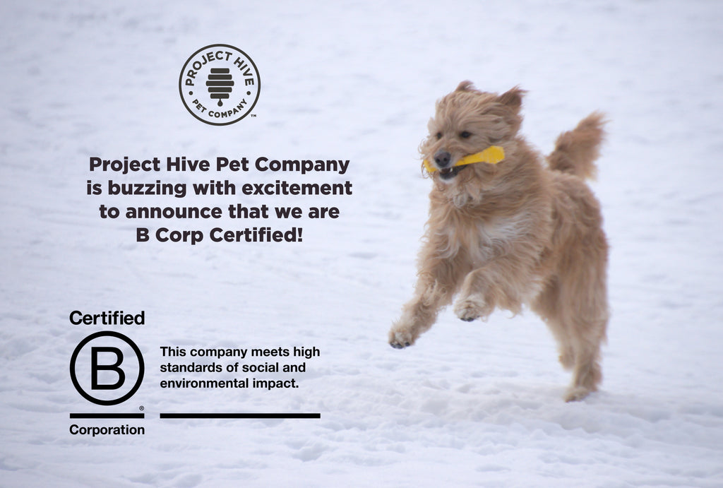 Why We Became B Corp Certified