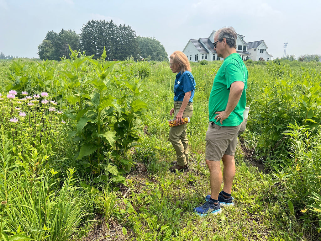 Why the 2024-25 Bee Die-Off Matters—and How We Can Help
