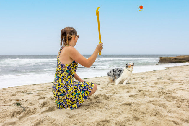 PRESS RELEASE: Project Hive Pet Company Launches  Game-changing New Fetch Toy for Dogs