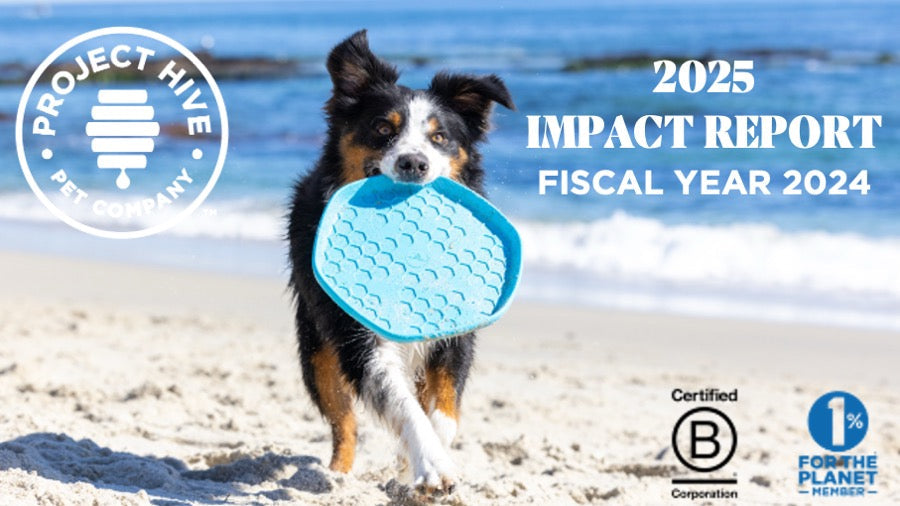 Buzz from the Hive: B Corp Recertified + Our 2025 Impact Report