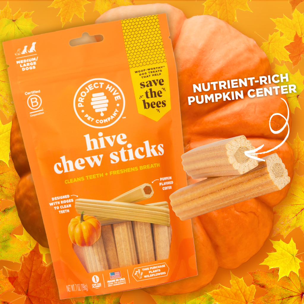 New Product Launch: Pumpkin Hive Chew Sticks in Large & XL Sizes for Larger Dogs!