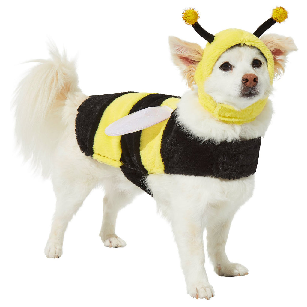 What Would Halloween Look Like Without Bees?