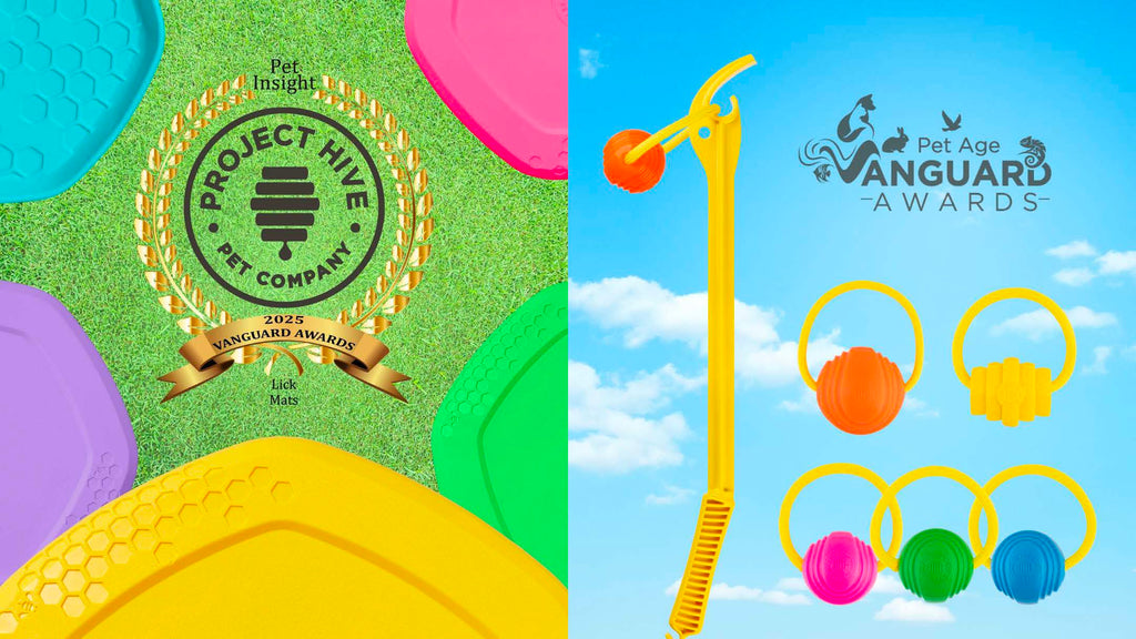 Back-to-back Wins: Project Hive Takes Home Prestigious Industry Awards for Outstanding Dog Toy Innovation