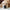 How Scented Dog Toys Enrich the Lives of Blind or Vision-Impaired Dogs