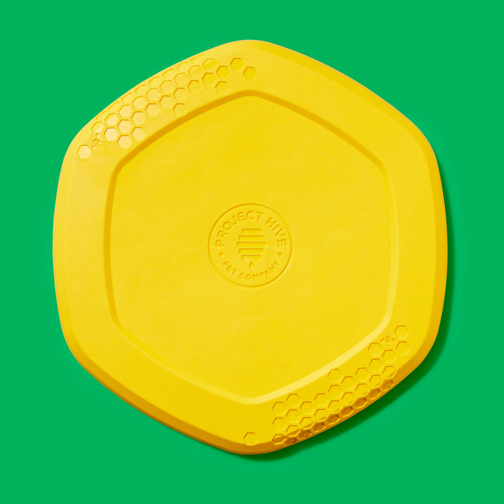 Yellow Dog Frisbee