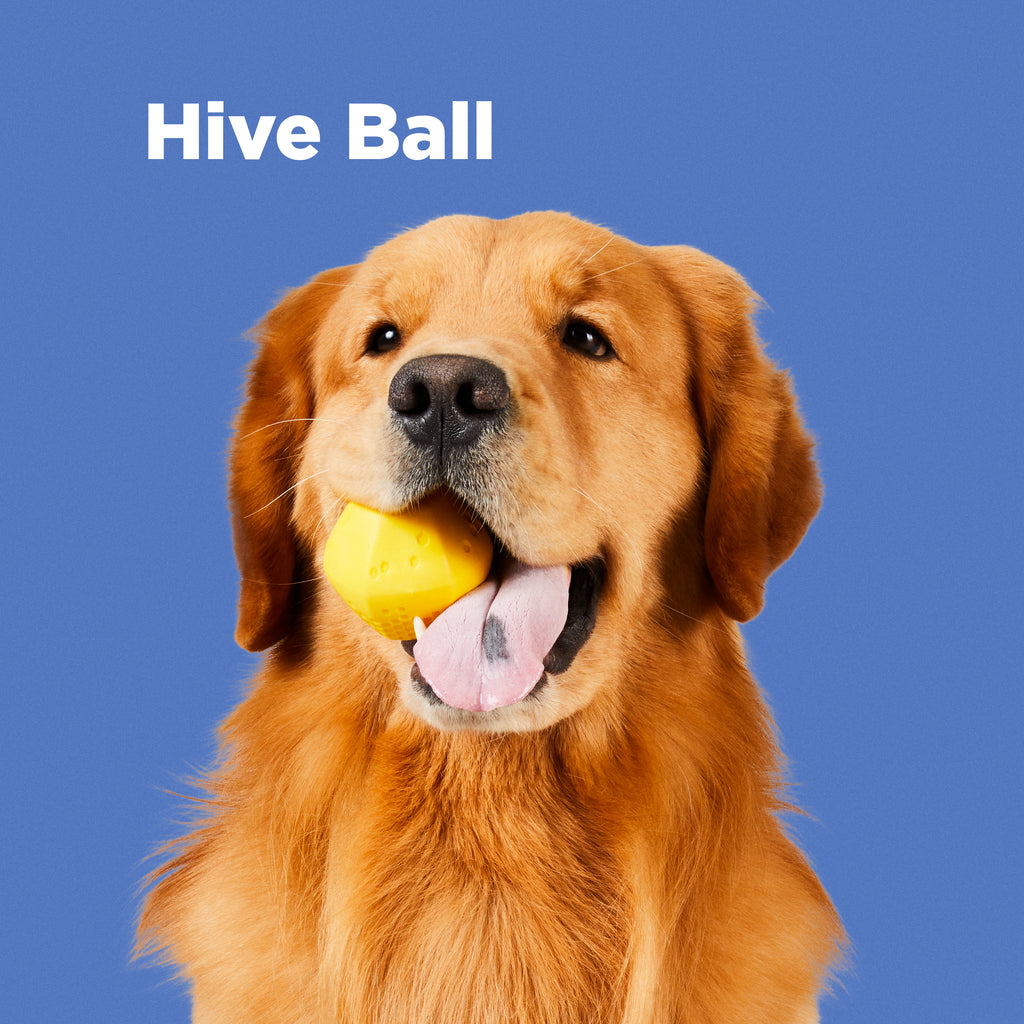Durable Dog Ball
