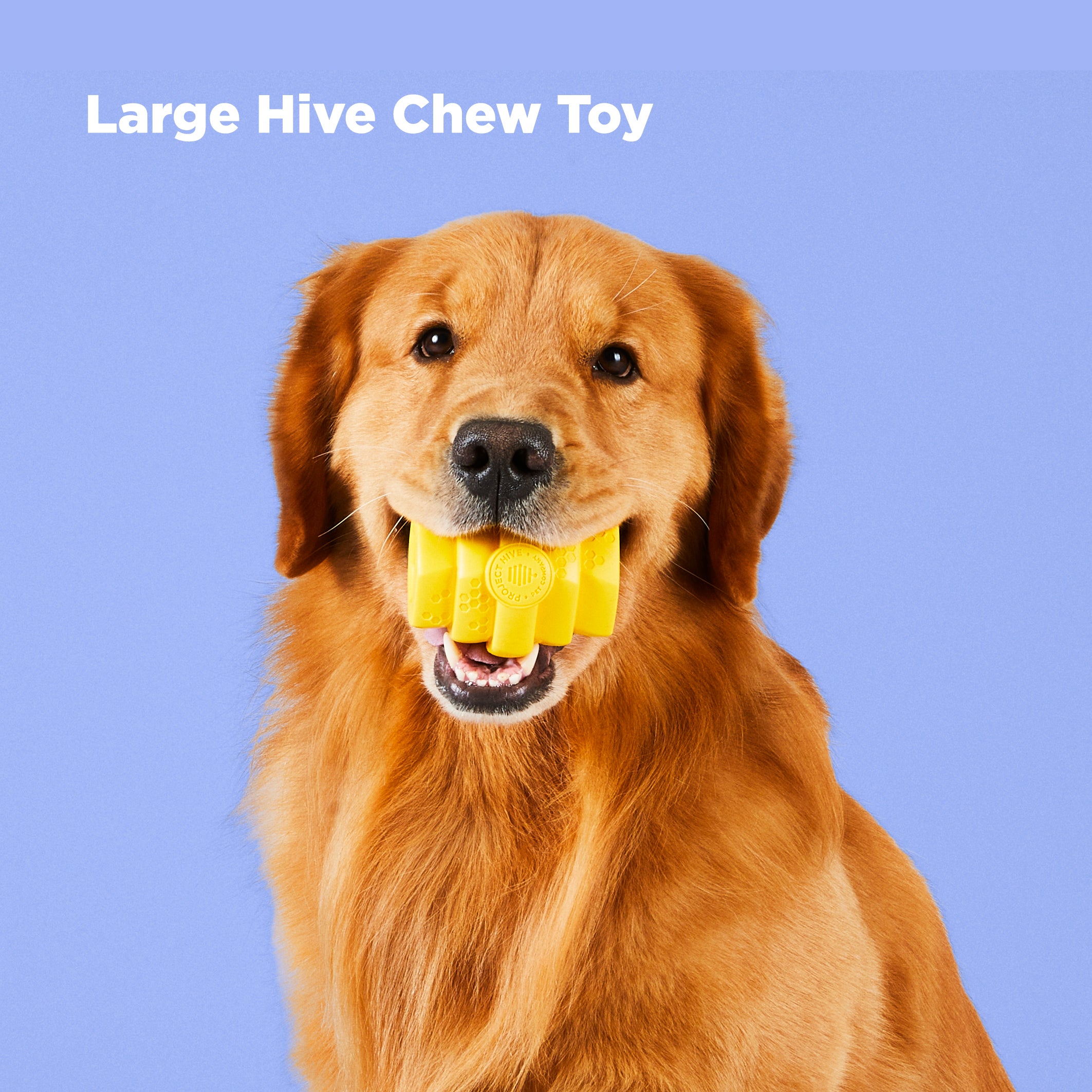Interactive Dog Toys & Treats Bundle for Medium/Large Dogs – Project Hive  Pet Company LLC