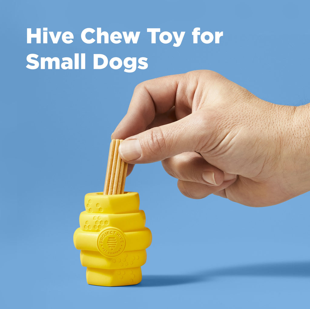 Dog treat inside dog toy | Interactive play
