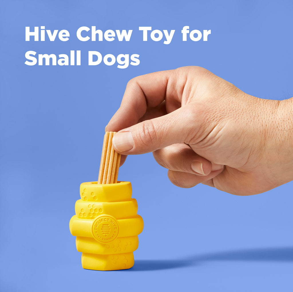 Treat inserted into Chew Toy for dogs