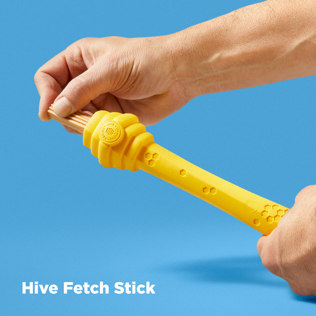 Interactive Dog Fetch Stick