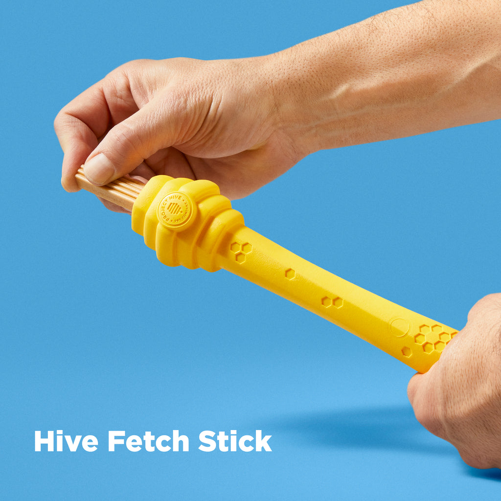 Dog Fetch Stick with insertable Dog Treat