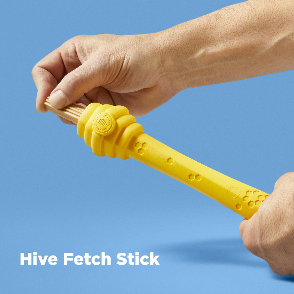 Hive Dog Fetch Sticks