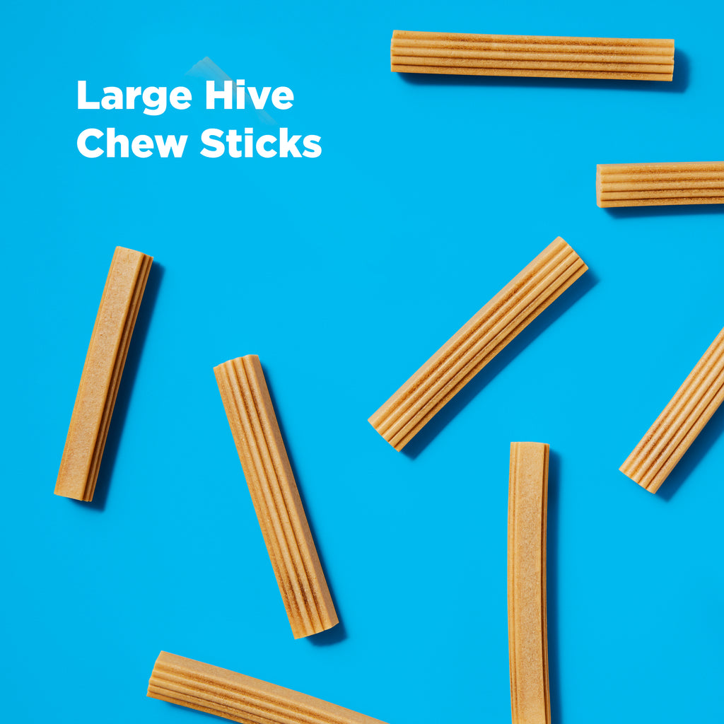 Large Hive Dog Chew Sticks