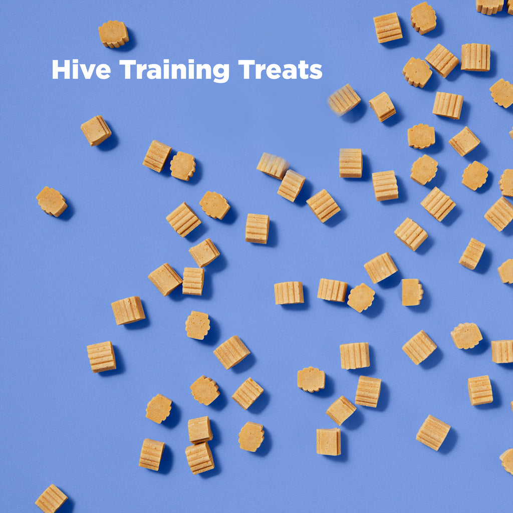 HIve Training Treats for dogs