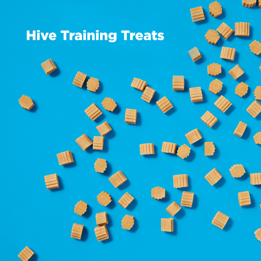 Hive Dog Training Treats